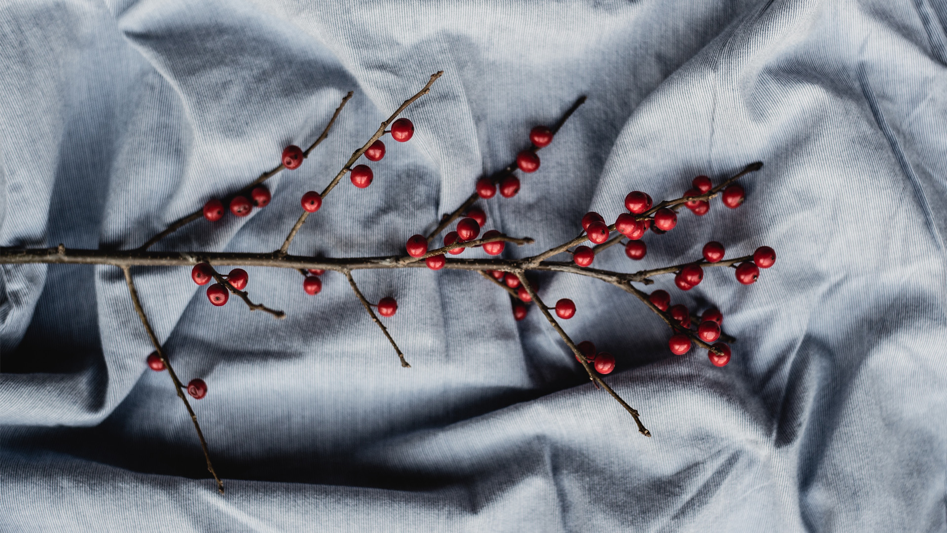 Vision (2017) graphic