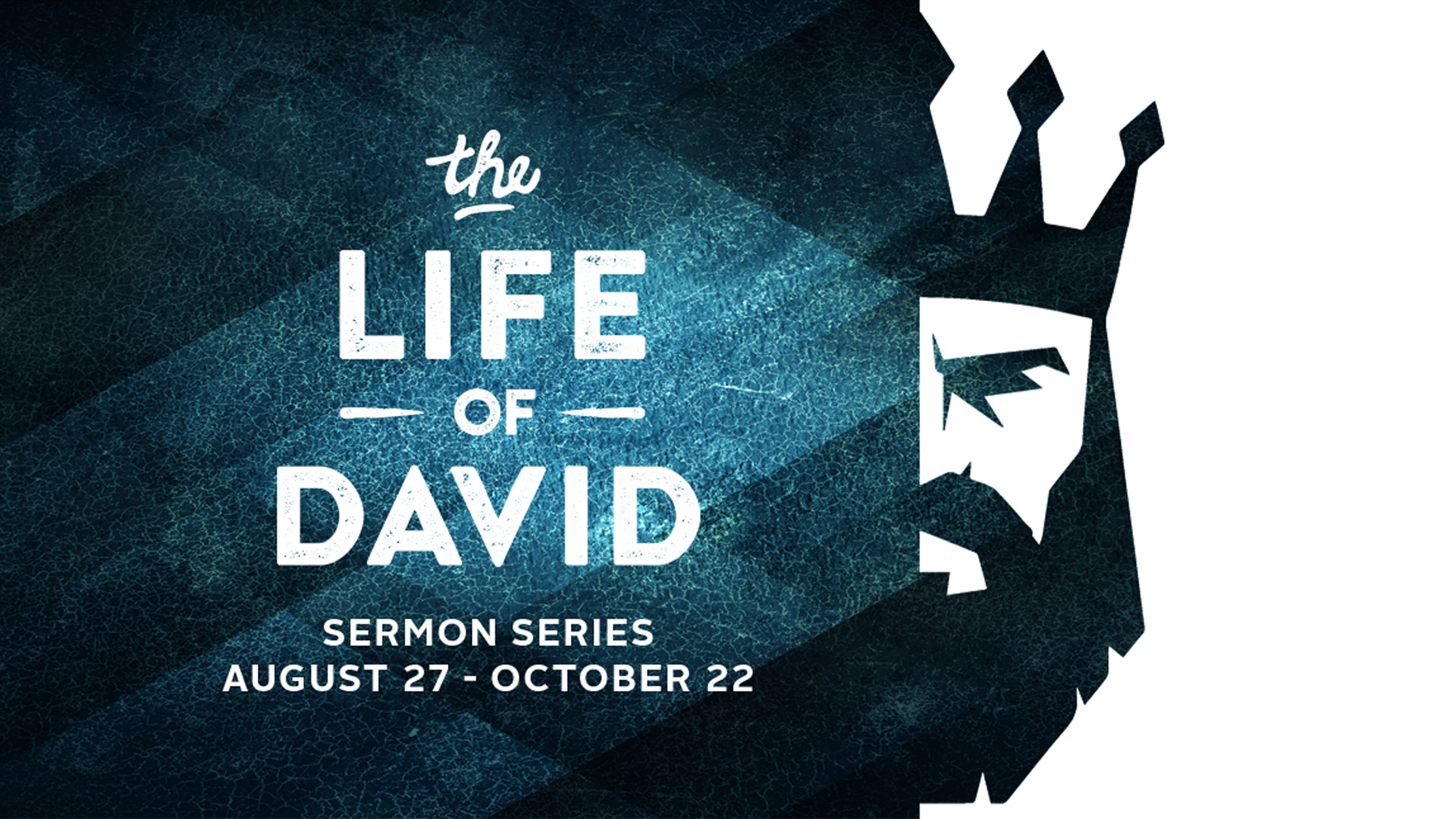 Life of David graphic