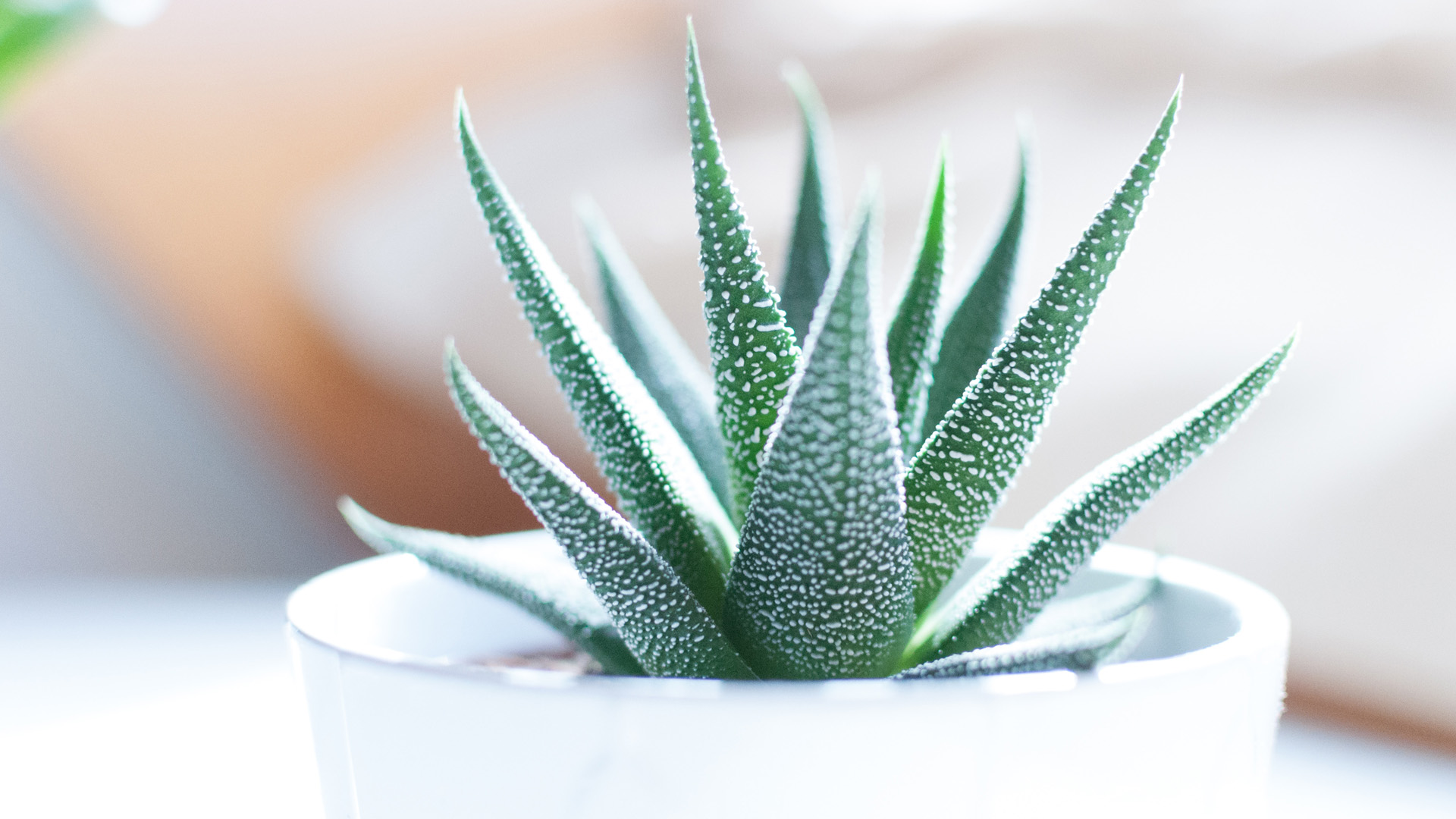 Vision 2 (2017) graphic