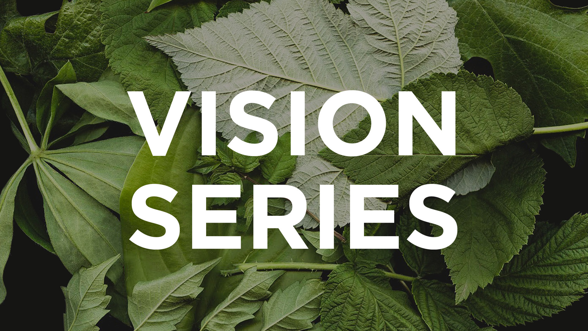 Vision 2 (2019) graphic