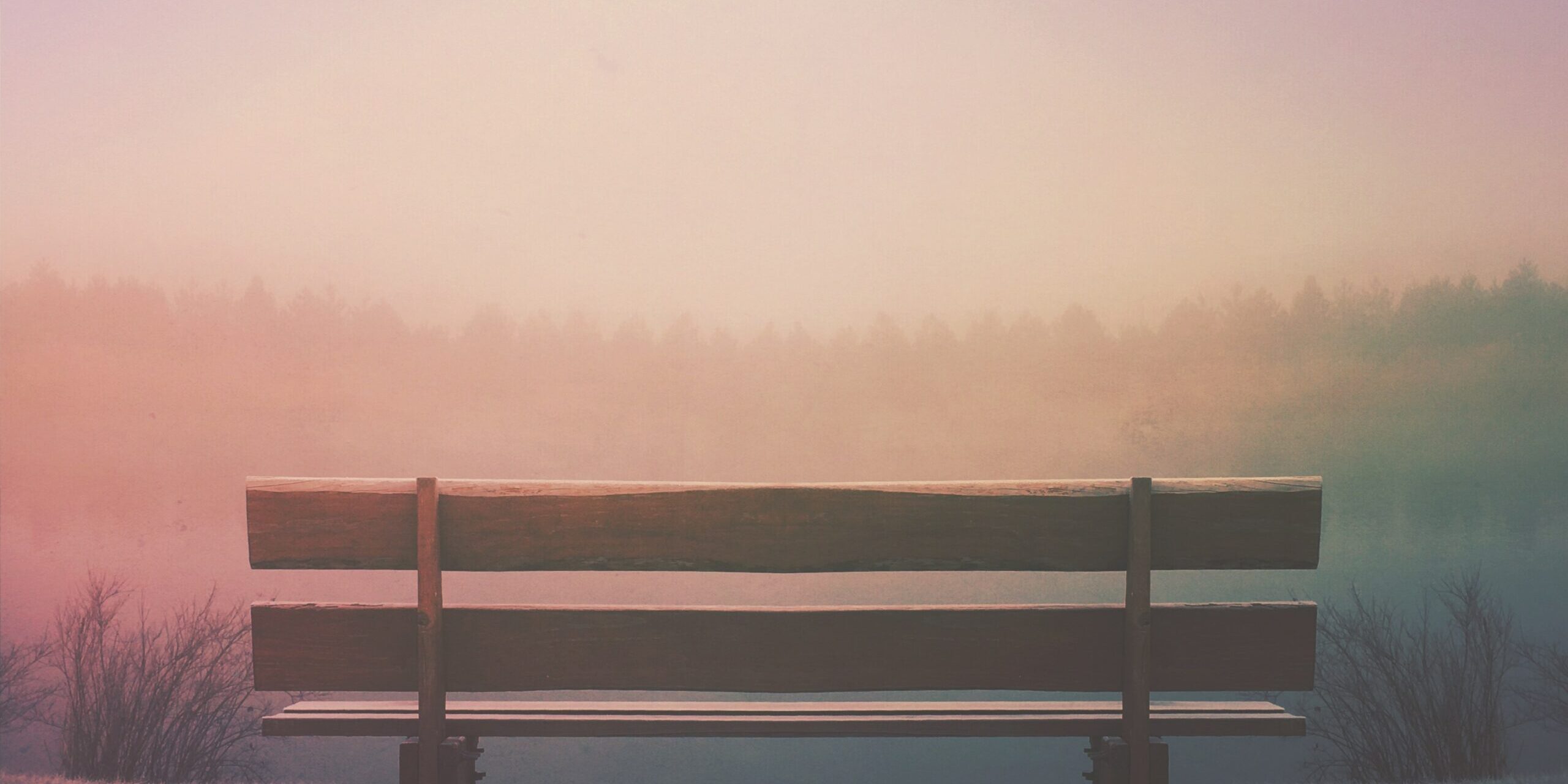 aaron-burden-2bg1jPty490-unsplash