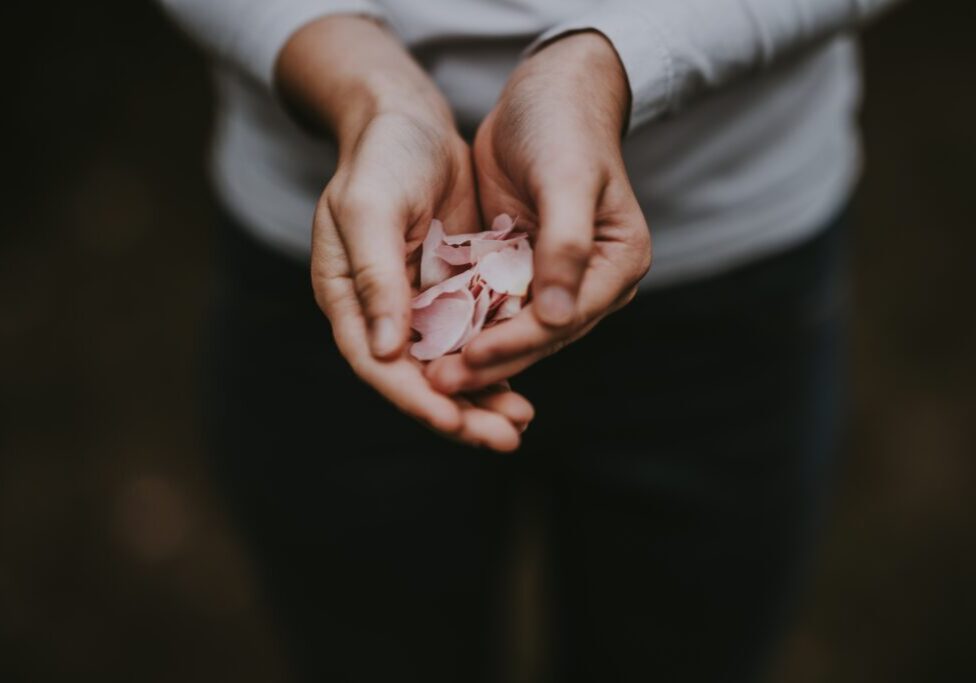 annie-spratt-cZSrTqpAePQ-unsplash